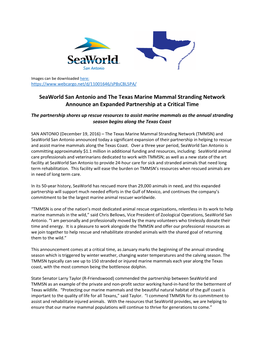 Seaworld San Antonio and the Texas Marine Mammal Stranding Network Announce an Expanded Partnership at a Critical Time