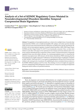 Analysis of a Set of KDM5C Regulatory Genes Mutated in Neurodevelopmental Disorders Identiﬁes Temporal Coexpression Brain Signatures