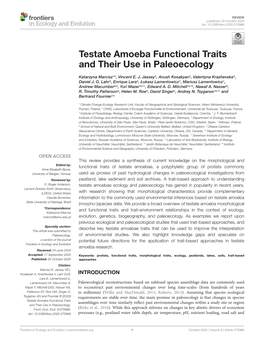 Testate Amoeba Functional Traits and Their Use in Paleoecology