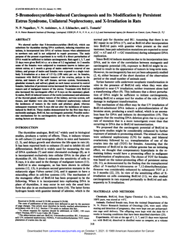 5-Bromodeoxyuridine-Induced Carcinogenesis and Its Modification by Persistent Estrus Syndrome, Unilateral Nephrectomy, and X-Irradiation in Rats N