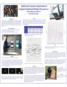 English and Lexigram Comprehension of Language-Enculturated Bonobo (Pan Paniscus) Andrea Rabinowitz, Jill Pruetz Iowa State University