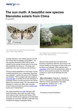 The Sun Moth: a Beautiful New Species Stenoloba Solaris from China 20 June 2013