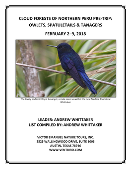 Cloud Forests of Northern Peru Pre-Trip: Owlets, Spatuletails & Tanagers February 2–9, 2018