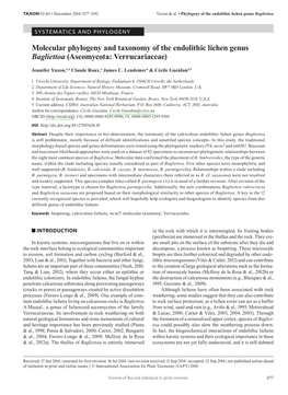 Molecular Phylogeny and Taxonomy of the Endolithic Lichen Genus &lt;I&gt;Bagliettoa&lt;/I&gt; (Ascomycota: Verrucariaceae)