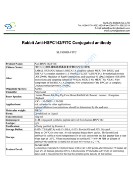 Rabbit Anti-HSPC142/FITC Conjugated Antibody