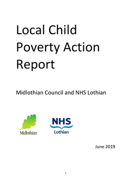 Local Child Poverty Action Report