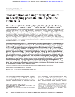 Transcription and Imprinting Dynamics in Developing Postnatal Male Germline Stem Cells