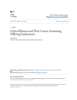 Optical Illusions and Their Causes Examining Differing Explanations