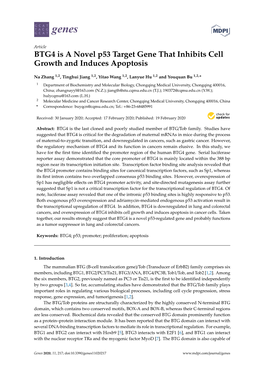 BTG4 Is a Novel P53 Target Gene That Inhibits Cell Growth and Induces Apoptosis