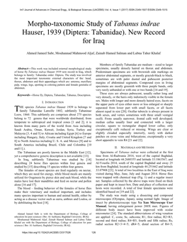 Morpho-Taxonomic Study of Tabanus Indrae Hauser, 1939 (Diptera: Tabanidae). New Record for Iraq