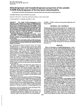 Dehydrogenase and Transhydrogenase Properties of the Soluble NADH Dehydrogenase of Bovine Heart Mitochondria