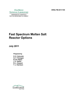 Fast Spectrum Molten Salt Reactor Options