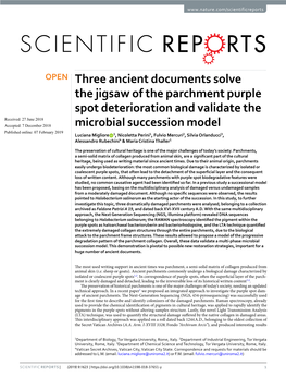 Three Ancient Documents Solve the Jigsaw of the Parchment Purple Spot