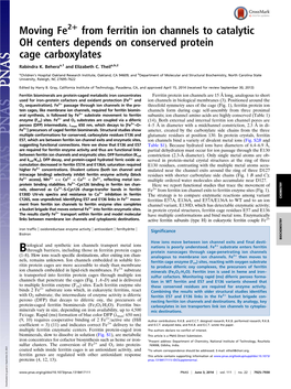 Moving Fe from Ferritin Ion Channels to Catalytic OH Centers