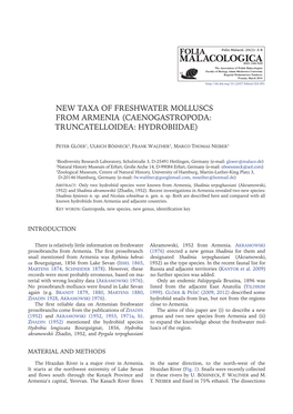 New Taxa of Freshwater Molluscs from Armenia (Caenogastropoda: Truncatelloidea: Hydrobiidae)