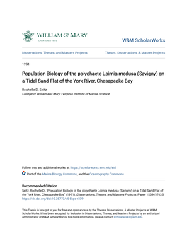 Population Biology of the Polychaete Loimia Medusa (Savigny) on a Tidal Sand Flat of the York River, Chesapeake Bay