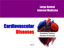 Cardiovascular