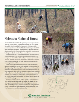 Nebraska National Forest