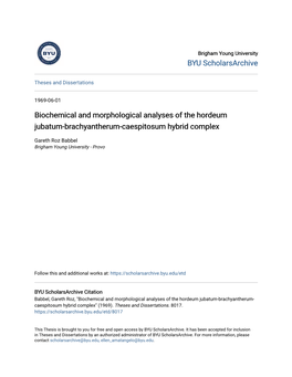 Biochemical and Morphological Analyses of the Hordeum Jubatum-Brachyantherum-Caespitosum Hybrid Complex