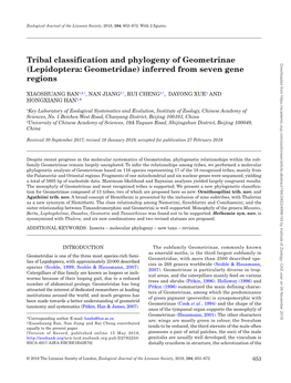 Tribal Classification and Phylogeny of Geometrinae (Lepidoptera