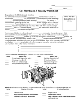 Cell Membrane & Tonicity Worksheet