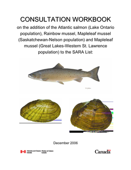 Consultation Workbook on the Addition of the Atlantic Salmon (Lake Ontario Population), Rainbow Mussel, Mapleleaf Mussel (Saskat