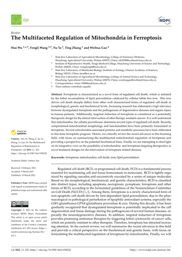 The Multifaceted Regulation of Mitochondria in Ferroptosis