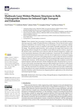 Multiscale Laser Written Photonic Structures in Bulk Chalcogenide Glasses for Infrared Light Transport and Extraction