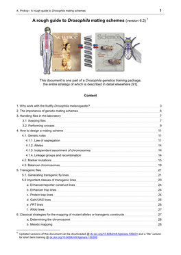 A Rough Guide to Drosophila Mating Schemes 1