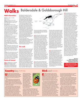 Baldersdale & Goldsborough Hill