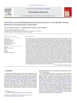 Siliciclastic Associated Banded Iron Formation from the 3.2Ga Moodies Group, Barberton Greenstone Belt, South Africa