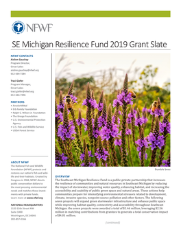 SE Michigan Resilience Fund 2019 Grant Slate