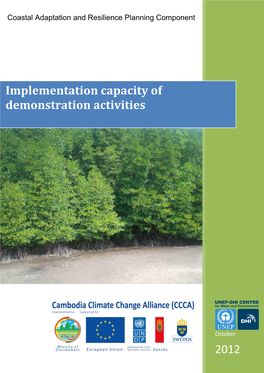 2012 Implementation Capacity of Demonstration Activities