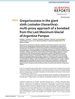 Gregariousness in the Giant Sloth Lestodon (Xenarthra): Multi‑Proxy Approach of a Bonebed from the Last Maximum Glacial of Argentine Pampas Rodrigo L