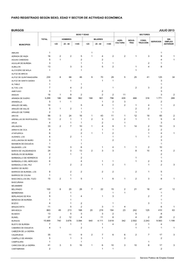 MUNI BURGOS 0713.Pdf