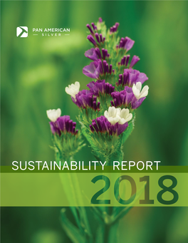 2018 Sustainability Report Gri 102-14, 102-15 Michael Steinmann // President & Ceo President’S Message