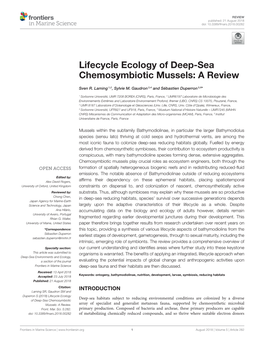 Lifecycle Ecology of Deep-Sea Chemosymbiotic Mussels: a Review