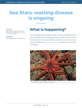 Sea Stars: Wasting Disease Is Ongoing