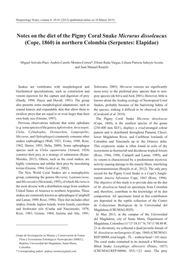 Notes on the Diet of the Pigmy Coral Snake Micrurus Dissoleucus (Cope, 1860) in Northern Colombia (Serpentes: Elapidae)