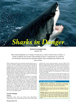 Sharks in Danger