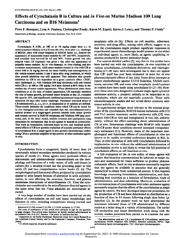 Effects of Cytochalasin B in Culture and in Yivo on Murine Madison 109 Lung Carcinoma and on B16 Melanoma1