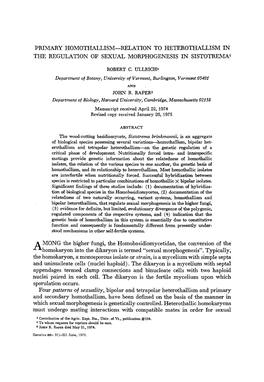 PRIMARY HOMOTHALLISM-RELATION to HETEROTHALLISM in the REGULATION of SEXUAL MORPHOGENESIS in Sistotremal