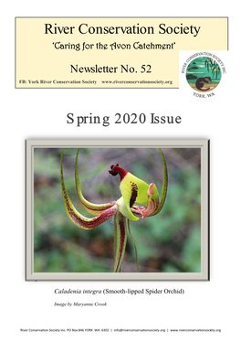 Newsletter No. 52 – November 2020
