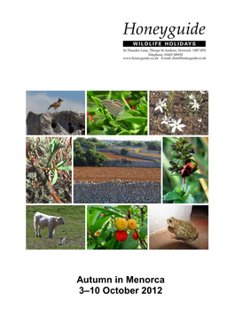 Autumn in Menorca 3–10 October 2012