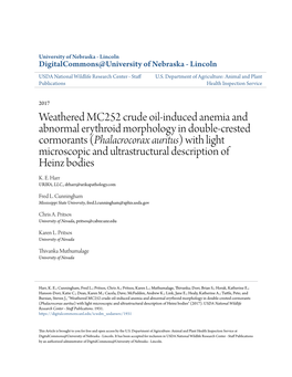 Weathered MC252 Crude Oil-Induced Anemia and Abnormal Erythroid