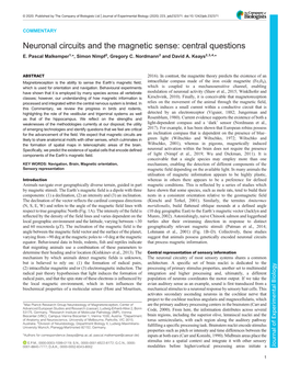 Neuronal Circuits and the Magnetic Sense: Central Questions E