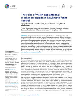 The Roles of Vision and Antennal Mechanoreception in Hawkmoth Flight Control Ajinkya Dahake1,2†, Anna L Sto¨ Ckl1†‡*, James J Foster1, Sanjay P Sane2, Almut Kelber1