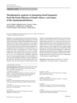 Morphometric Analysis of Chameleon Fossil Fragments from the Early Pliocene of South Africa: a New Piece of the Chamaeleonid History