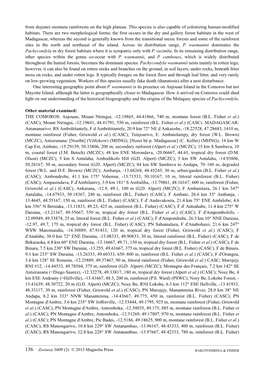 Revision of the Pachycondyla Wasmannii-Group