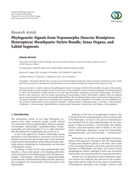 Phylogenetic Signals from Nepomorpha (Insecta: Hemiptera: Heteroptera) Mouthparts: Stylets Bundle, Sense Organs, and Labial Segments